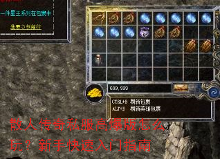 ɢ�˴���˽���߱�����ô�棿���ֿ�������ָ��