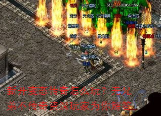 �¿���̬������ô�棿���ֵܲ������������Ϊ����