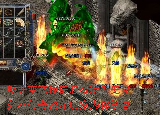 �¿���̬������ô�棿���ֵܲ������������Ϊ����