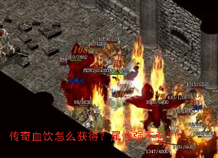 ����Ѫ����ô��ã�����ǿ��ǿ��