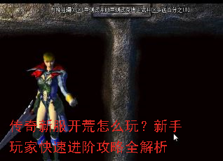 �����·�������ô�棿������ҿ��ٽ��׹���ȫ����