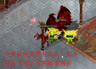 �����·�������ô�棿������ҿ��ٽ��׹���ȫ����