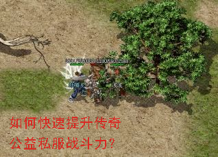 如何快速提升传奇公益私服战斗力? 如何快速提升传奇公益私服战斗力?
