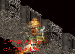 如何快速提升传奇公益私服战斗力? 如何快速提升传奇公益私服战斗力?