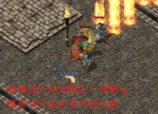 ��γ�Ϊ�귨����������˽������������ռ�ָ��