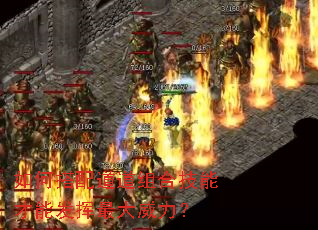 如何搭配道道组合技能才能发挥最大威力? 如何搭配道道组合技能才能发挥最大威力?