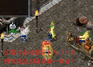 冰雪打金秘境新手入门?如何快速起步赚取第一桶金? 冰雪打金秘境新手入门?如何快速起步赚取第一桶金?