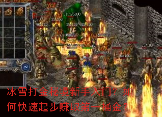 冰雪打金秘境新手入门?如何快速起步赚取第一桶金? 冰雪打金秘境新手入门?如何快速起步赚取第一桶金?