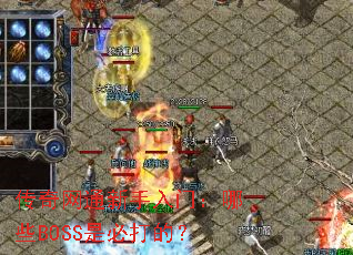 ������ͨ�������ţ���ЩBOSS�Ǳش�ģ�