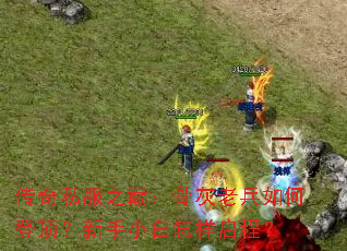 传奇私服之巅:骨灰老兵如何登顶?新手小白怎样启程? 传奇私服之巅:骨灰老兵如何登顶?新手小白怎样启程?