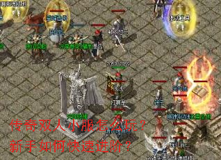 传奇双人小服怎么玩?新手如何快速进阶? 传奇双人小服怎么玩?新手如何快速进阶?