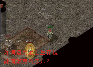 如何运用道士生存技能有效克制法师? 如何运用道士生存技能有效克制法师?