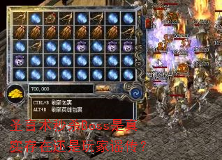 圣言术秒杀Boss是真实存在还是玩家谣传? 圣言术秒杀Boss是真实存在还是玩家谣传?