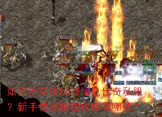 如何不花钱玩转绿色传奇私服?新手快速赚钱攻略有哪些? 如何不花钱玩转绿色传奇私服?新手快速赚钱攻略有哪些?