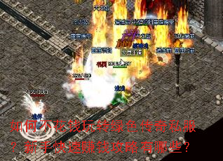 如何不花钱玩转绿色传奇私服?新手快速赚钱攻略有哪些? 如何不花钱玩转绿色传奇私服?新手快速赚钱攻略有哪些?