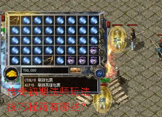 传奇初期法师玩法技巧秘籍有哪些? 传奇初期法师玩法技巧秘籍有哪些?