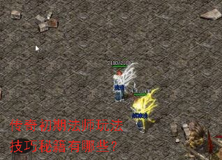 传奇初期法师玩法技巧秘籍有哪些? 传奇初期法师玩法技巧秘籍有哪些?