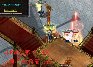 非RMB玩家单人PK,哪个组合最厉害? 非RMB玩家单人PK,哪个组合最厉害?