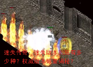 ��ʧ���棺��ʧ�汾�����ж����֣�Ȩ���汾�������أ�