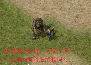 PK对策再升级:问鼎沙场,你真的有制胜绝招吗? PK对策再升级:问鼎沙场,你真的有制胜绝招吗?