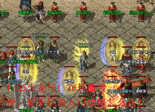 1.85火龙与1.76热血传奇,新手玩家入门攻略怎么选? 1.85火龙与1.76热血传奇,新手玩家入门攻略怎么选?