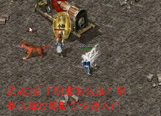 武魂2新手职业怎么选?职业选择攻略助你快速入门 武魂2新手职业怎么选?职业选择攻略助你快速入门