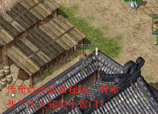 传奇战士致富秘籍:有哪些不为人知的小窍门? 传奇战士致富秘籍:有哪些不为人知的小窍门?