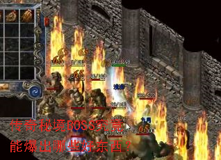 �����ؾ�BOSS�����ܱ�����Щ�ö�����