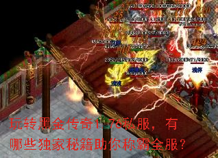 玩转黑金传奇1.76私服,有哪些独家秘籍助你称霸全服? 玩转黑金传奇1.76私服,有哪些独家秘籍助你称霸全服?