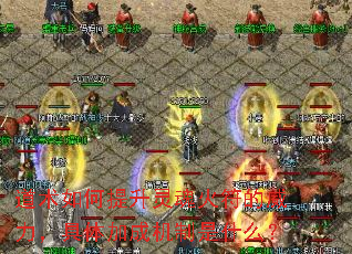 道术如何提升灵魂火符的威力,具体加成机制是什么? 道术如何提升灵魂火符的威力,具体加成机制是什么?