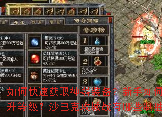 如何快速获取神器装备?新手如何快速提升等级?沙巴克攻城战有哪些制胜技巧? 如何快速获取神器装备?新手如何快速提升等级?沙巴克攻城战有哪些制胜技巧?