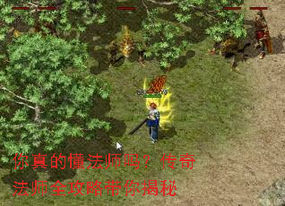 你真的懂法师吗?传奇法师全攻略带你揭秘 你真的懂法师吗?传奇法师全攻略带你揭秘