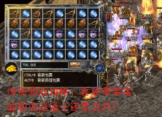 传奇游戏攻略:喜欢带宝宝的职业选道士还是法师? 传奇游戏攻略:喜欢带宝宝的职业选道士还是法师?