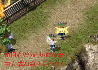 如何在999sf热血传奇中完成28级苍月任务? 如何在999sf热血传奇中完成28级苍月任务?