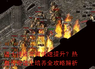 道士技能如何快速提升?热血传奇道士培养全攻略解析 道士技能如何快速提升?热血传奇道士培养全攻略解析