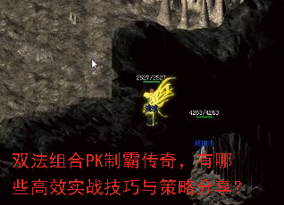 双法组合PK制霸传奇,有哪些高效实战技巧与策略分享? 双法组合PK制霸传奇,有哪些高效实战技巧与策略分享?