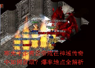 寒光平步青云帝戒在神域传奇中如何获取?爆率地点全解析 寒光平步青云帝戒在神域传奇中如何获取?爆率地点全解析