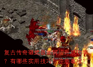 ���Ŵ�����������������ɹ��ʣ�����Щʵ�ü�����ע�����
