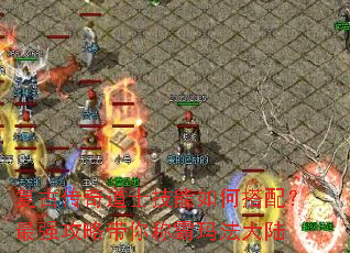 复古传奇道士技能如何搭配?最强攻略带你称霸玛法大陆 复古传奇道士技能如何搭配?最强攻略带你称霸玛法大陆