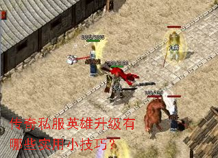 ����˽��Ӣ����������Щʵ��С���ɣ�