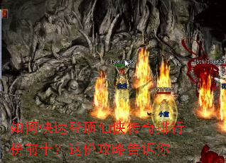��ο��ٵǶ������������а�ǰʮ����ݹ��Ը�����
