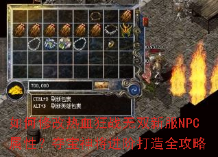 如何修改热血狂战无双新服NPC属性?夺宝神将进阶打造全攻略 如何修改热血狂战无双新服NPC属性?夺宝神将进阶打造全攻略