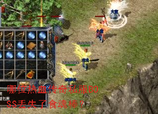 ��λ��Ѫ����˽��BOSS��ʧ��ʳ�����