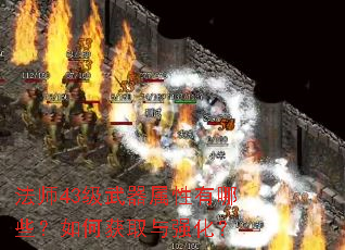 法师43级武器属性有哪些?如何获取与强化? 法师43级武器属性有哪些?如何获取与强化?