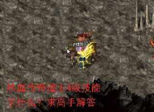 热血传奇道士4级技能学什么?求高手解答 热血传奇道士4级技能学什么?求高手解答