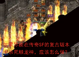如果你能在传奇SF的复古版本中杀死触龙神,应该怎么做? 如果你能在传奇SF的复古版本中杀死触龙神,应该怎么做?