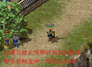 如果你能在传奇SF的复古版本中杀死触龙神,应该怎么做? 如果你能在传奇SF的复古版本中杀死触龙神,应该怎么做?