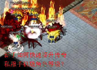 新手如何快速提升传奇私服手机版角色等级? 新手如何快速提升传奇私服手机版角色等级?
