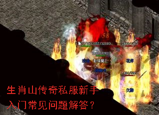 生肖山传奇私服新手入门常见问题解答? 生肖山传奇私服新手入门常见问题解答?