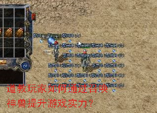 道教玩家如何通过召唤神兽提升游戏实力? 道教玩家如何通过召唤神兽提升游戏实力?